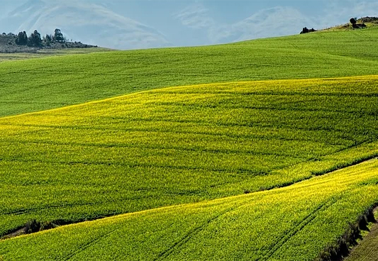 ALIVE 아카데미 소개