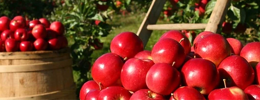 ALIVE 아카데미 소개