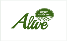 Alive 브랜드 런칭